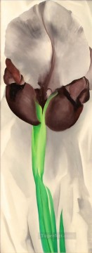 georgia o keeffe dark iris no 1 Georgia Okeeffe modernismo americano precisionismo Pinturas al óleo